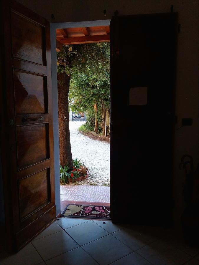 피렌체 L'Acchiappasogni B&B 외부 사진